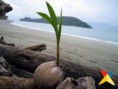 /album/fotogaleria-paisajes-colombianos/paisaje-gorgona-jpg/