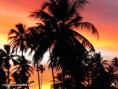 /album/fotogaleria-paisajes-colombianos/san-andres-atardecer-jpg/