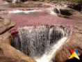/album/fotogaleria-paisajes-colombianos/vinatur-cano-cristales-9-jpg/