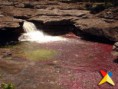 /album/fotogaleria-paisajes-colombianos/vinatur-cano-cristales-10-jpg/